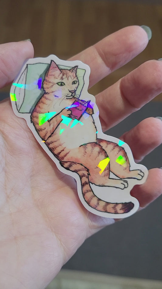Cozy Reading Cat Vinyl Sticker