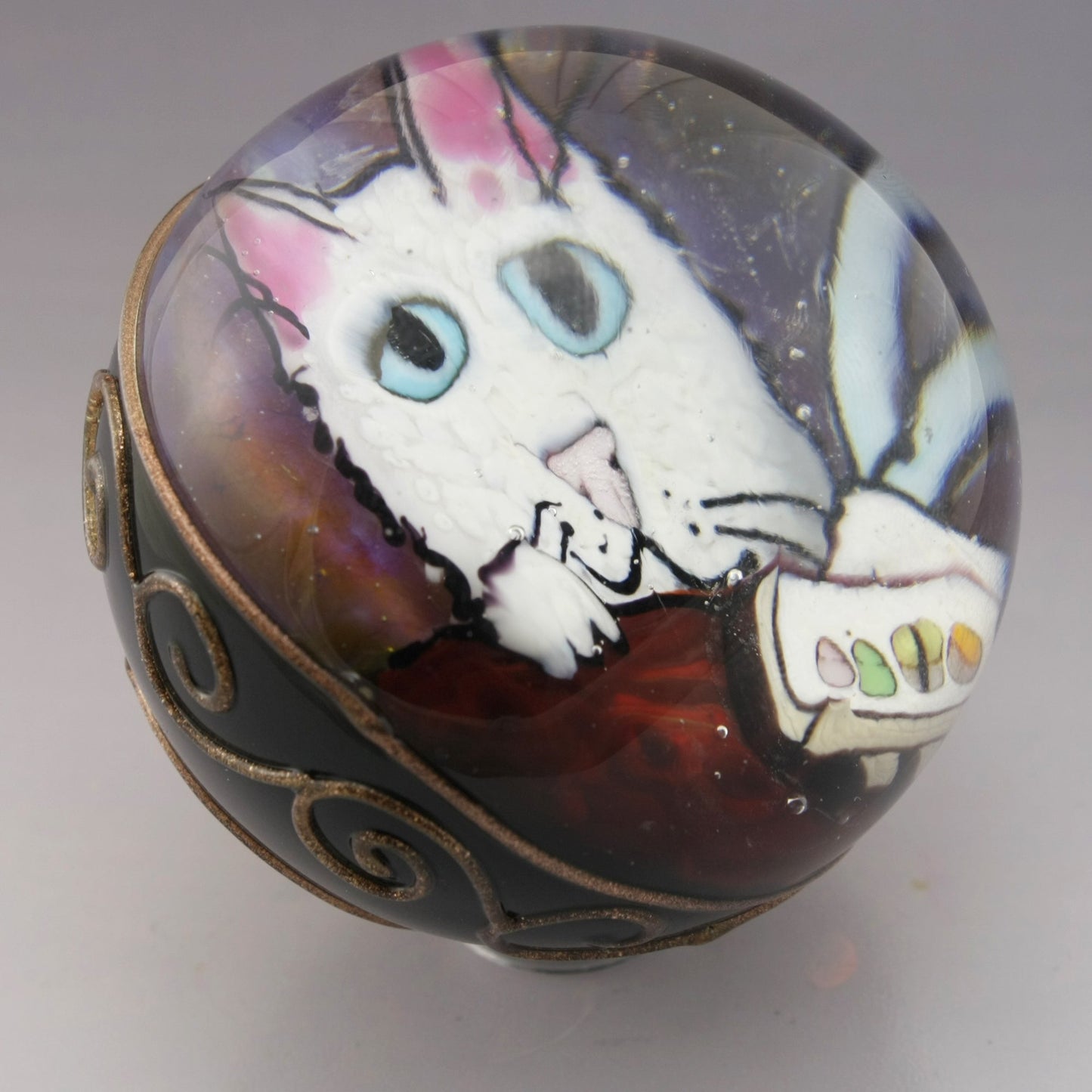 White Fluffy Kitty seated at the Sushi Bar with his Nigiri Tray 126
